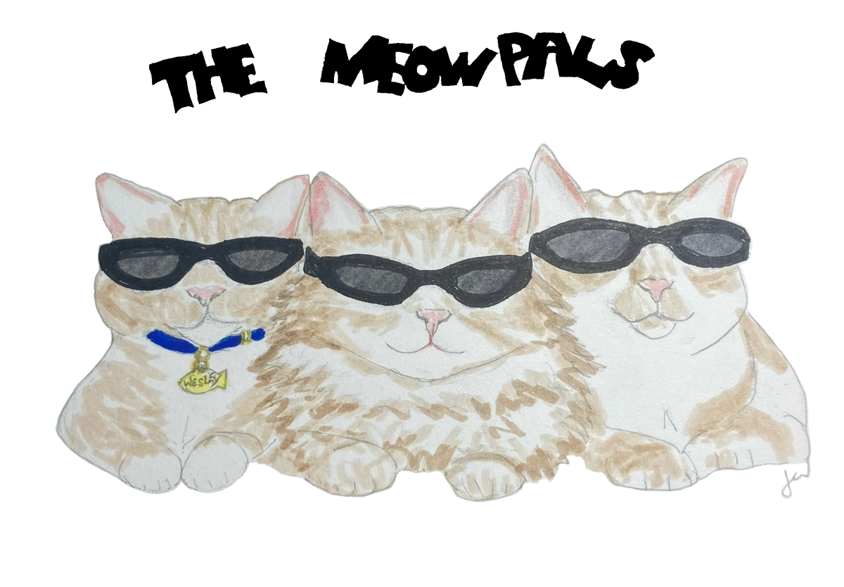 Meow Pals